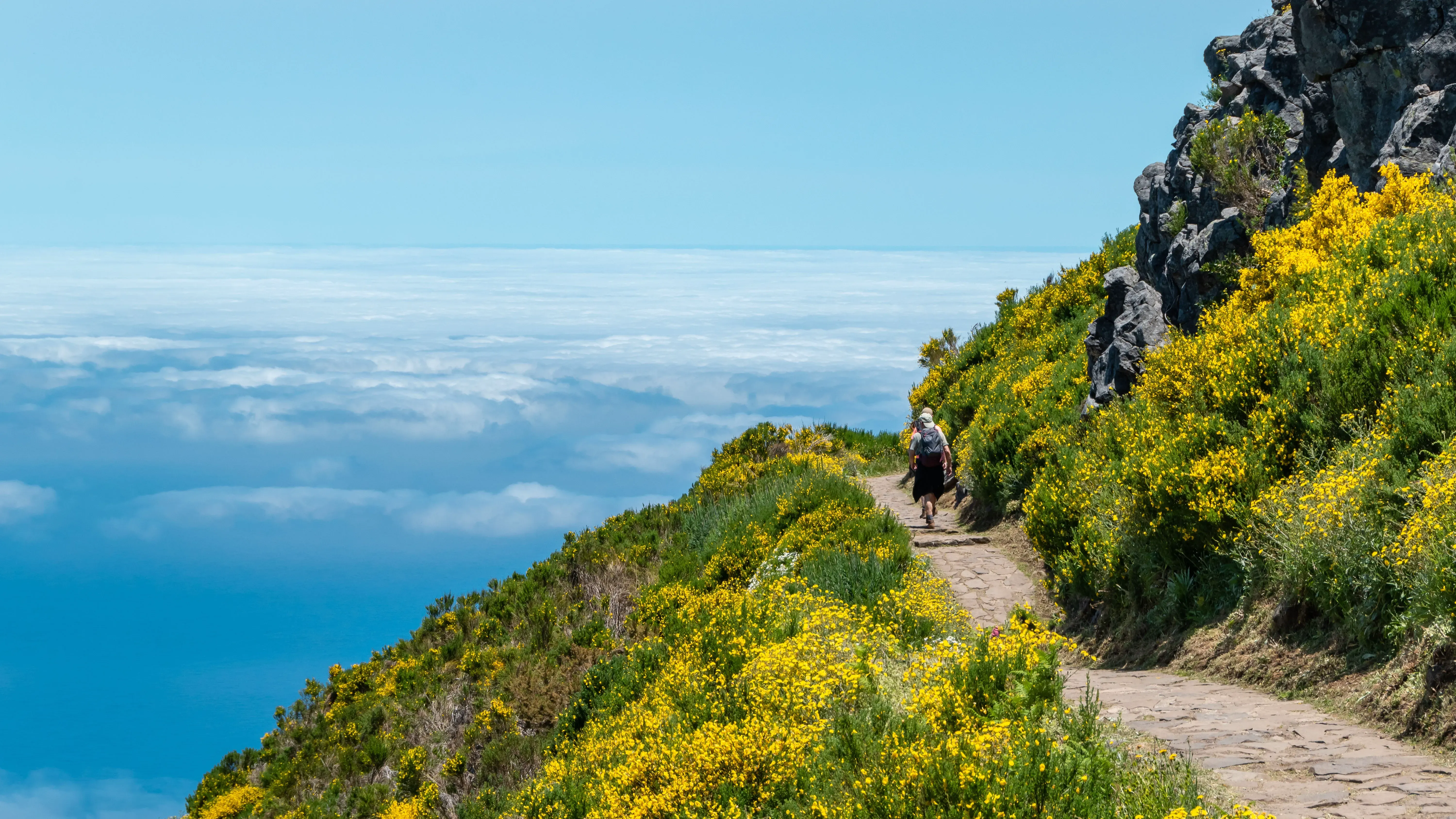 An empty levada at first light, before the buses arrive
